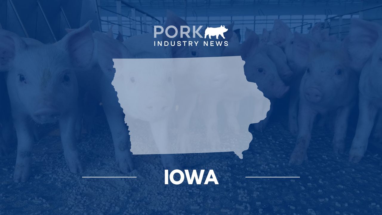 Pipestone Celebrates Adam Boleyn’s 20 Years of Service in Swine Production | Pork Industry News