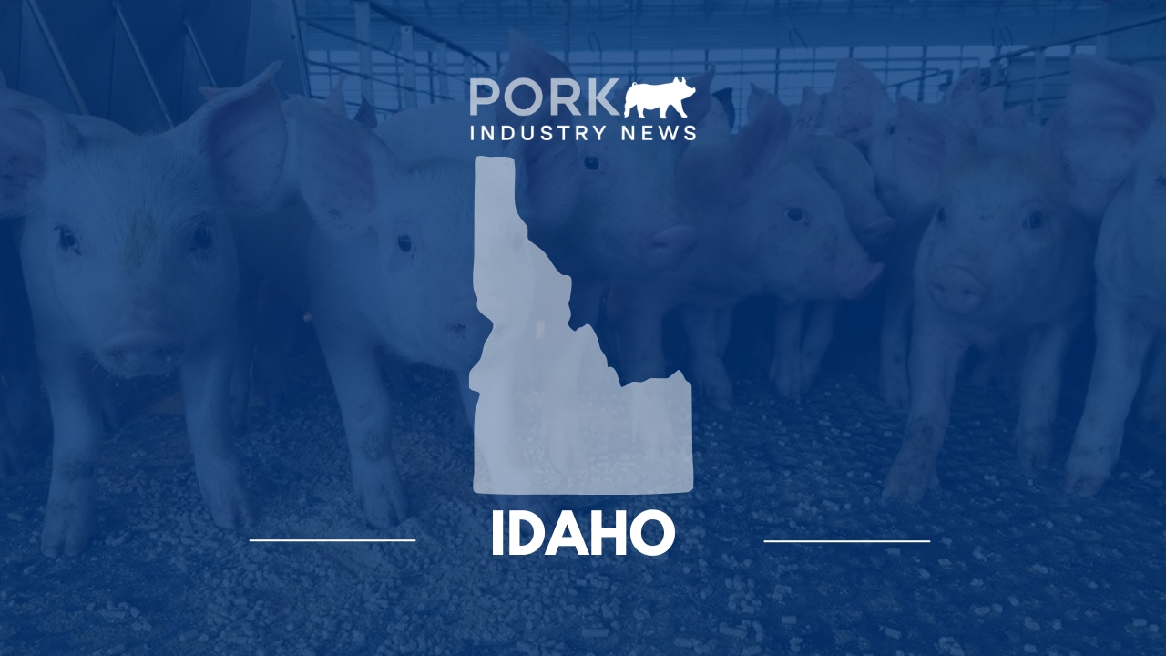 Idaho Pork Producers Association Hosting Free Swine Field Day Clinic for Youth | Pork Industry News