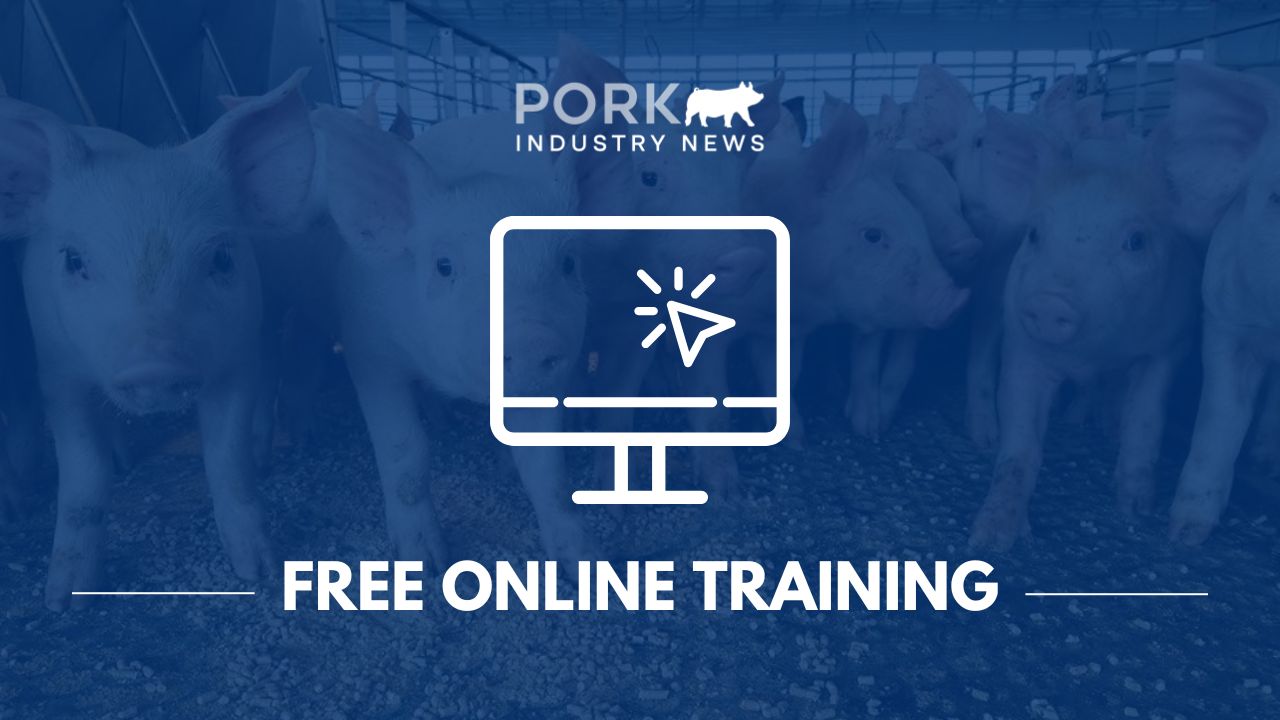 University of Minnesota Extension to Host Swine Webinar for Pig Farmers | Pork Industry News