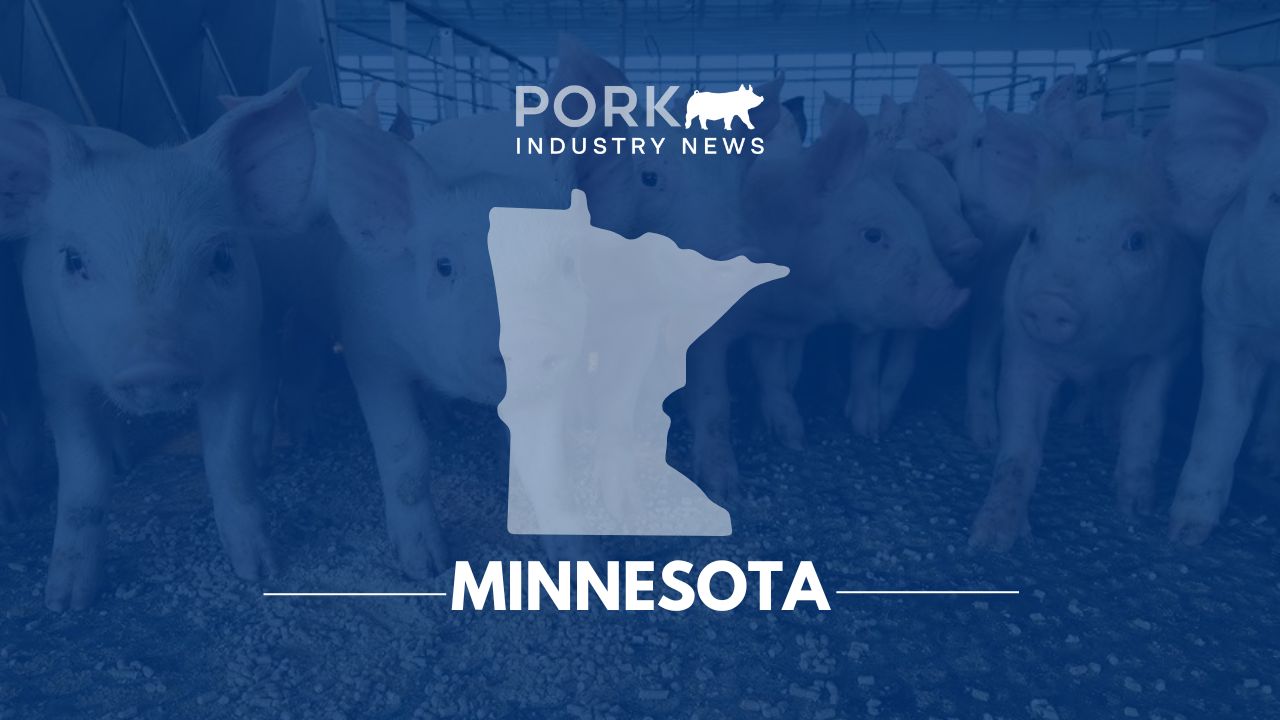Minnesota Pork Board Offers Scholarships for Future Ag Leaders | Pork Industry News