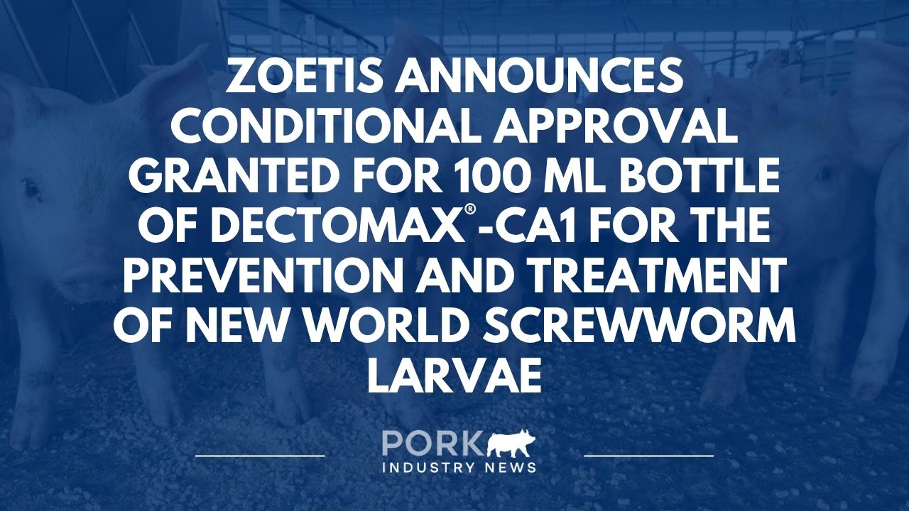 Zoetis Announces Conditional Approval Granted for 100 mL Bottle of Dectomax®-CA1 for the Prevention and Treatment of New World Screwworm Larvae | Pork Industry News