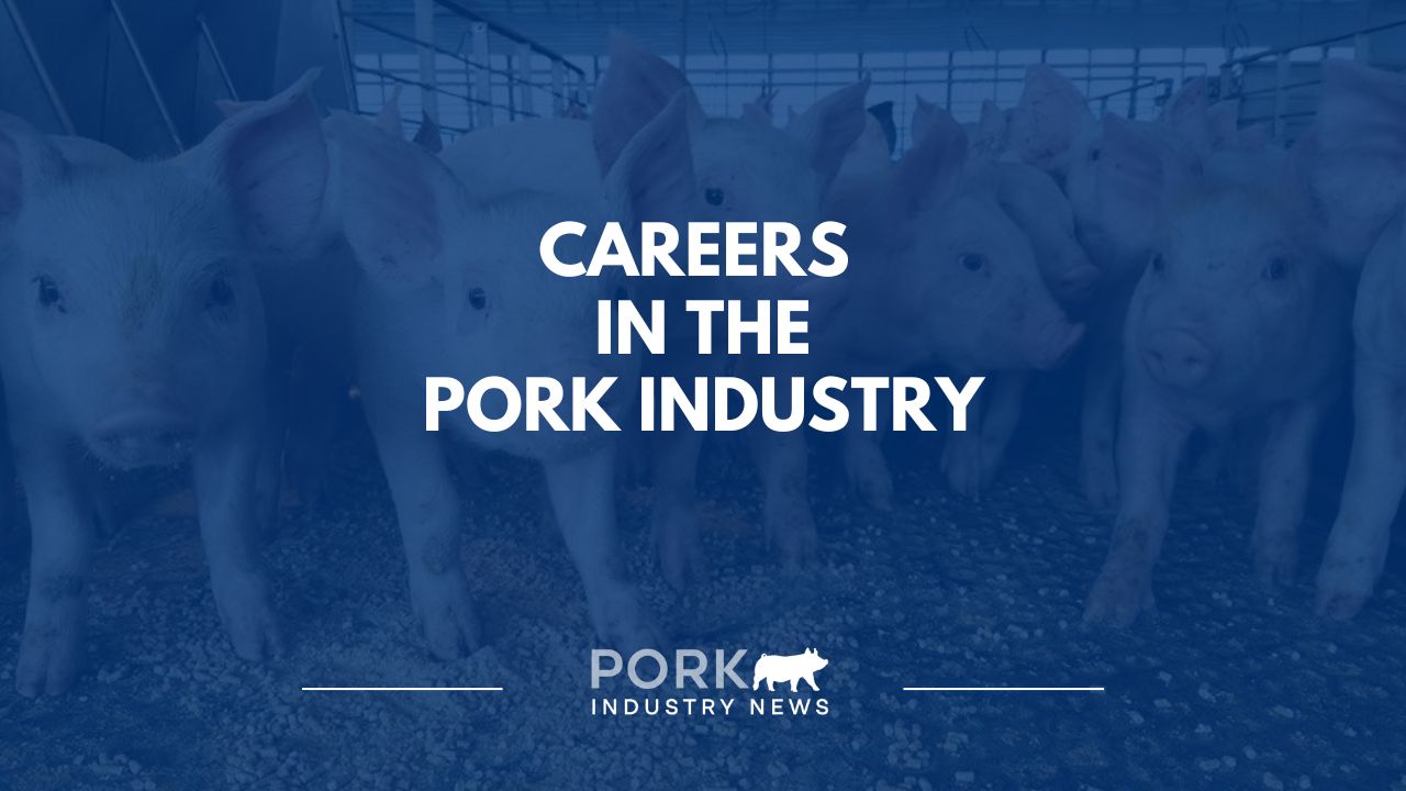 Careers in the Pork Industry | Pork Industry News