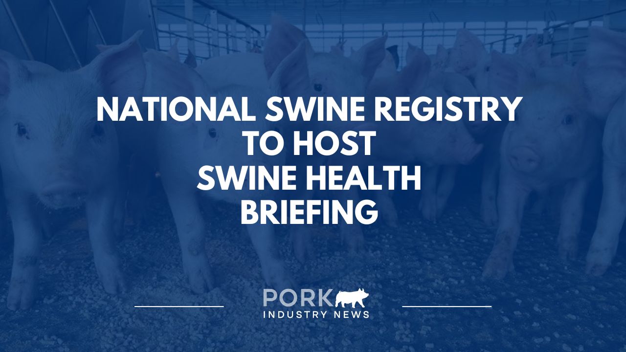 National Swine Registry to Host Swine Health Briefing | Pork Industry News