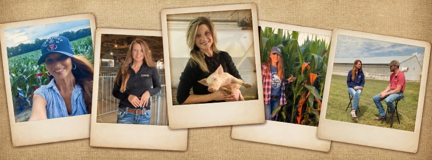 About Pork industry News 2